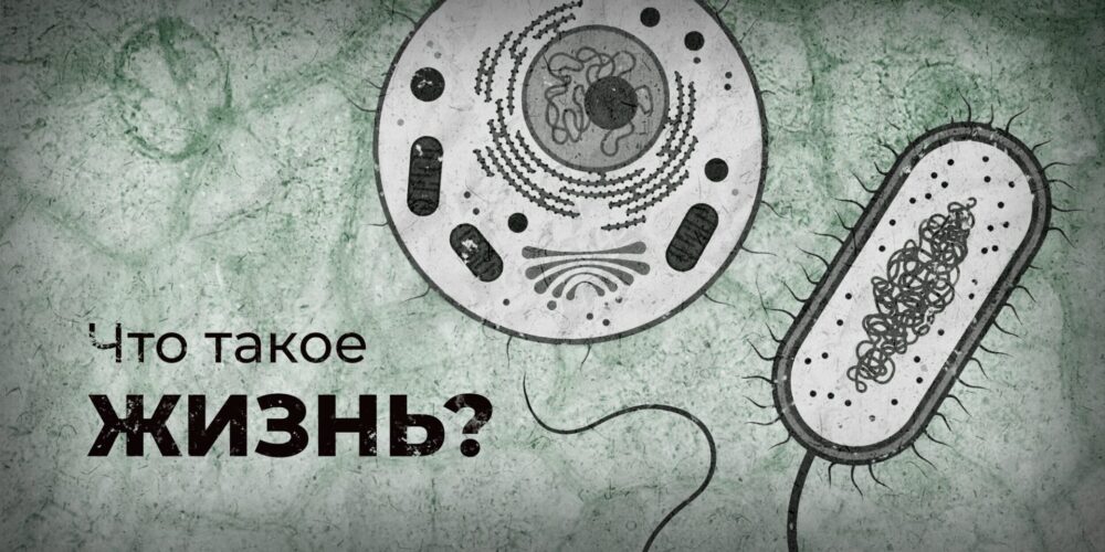 Что такое жизнь?